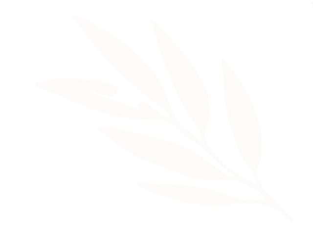 feuille décorative en haut du site